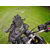 GPS mount with angle adjustment for V-Strom 650 (2017–2022)